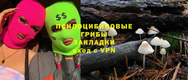ПСИЛОЦИБИНОВЫЕ ГРИБЫ Арсеньев